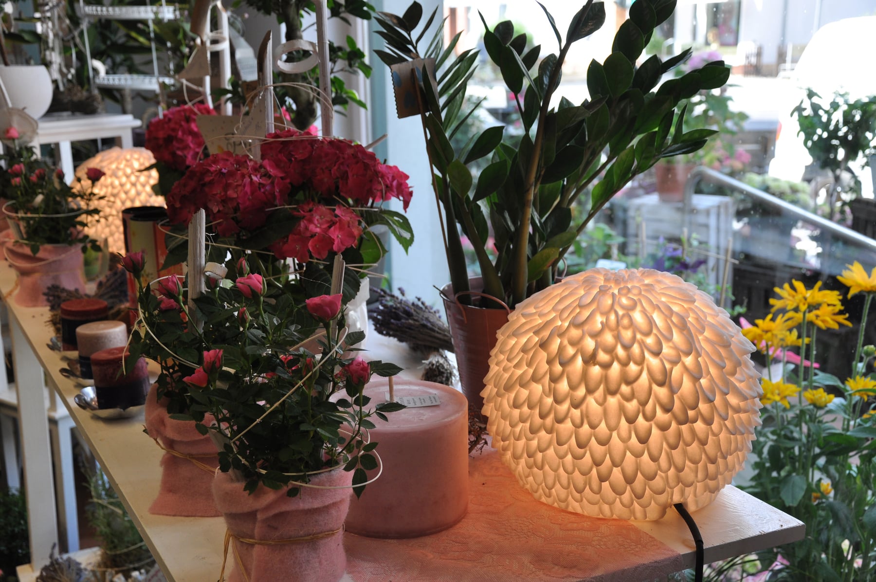 Blatt & Blüte Innenaufnahme – gemütlicher Blumenladen in Eberswalde
