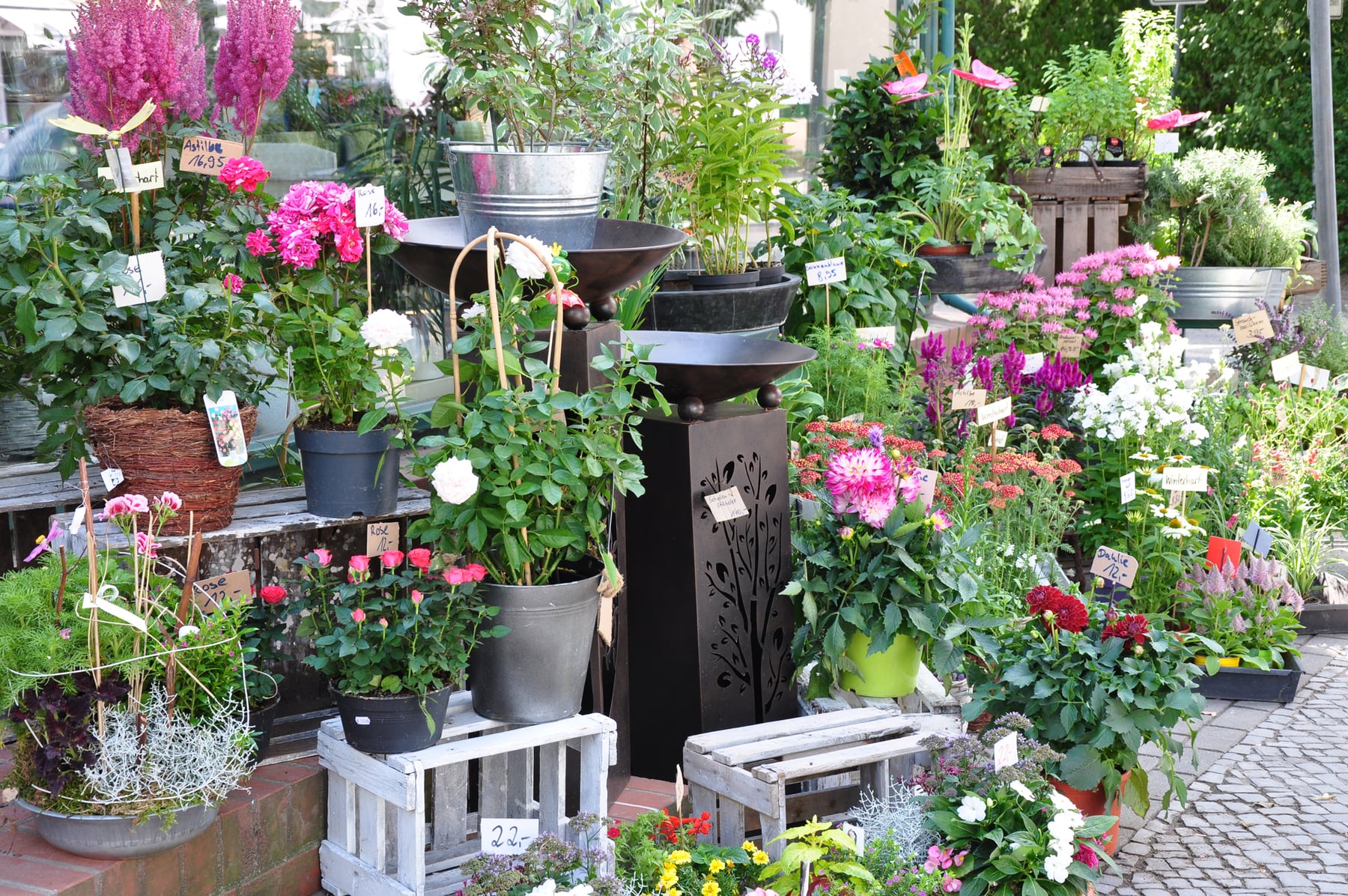 Viele Topfpflanzen im Außenbereich des Gartencenters