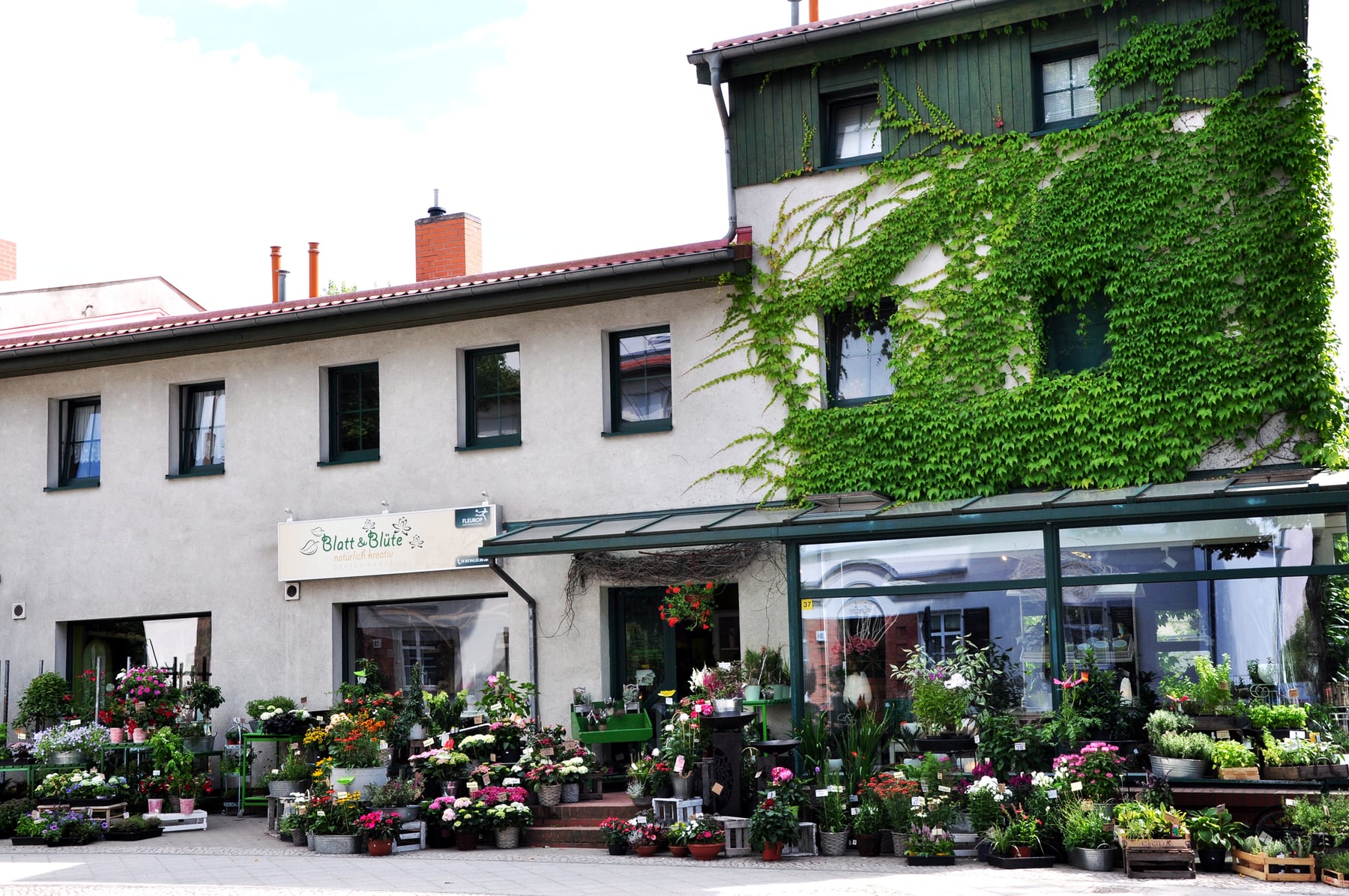 Blatt & Blüte Außenansicht Geschäft Eberswalde